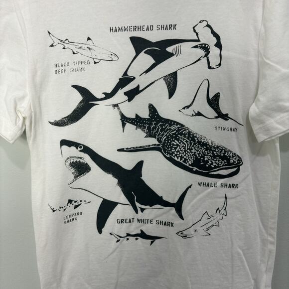 Gap Sharks Tee - Picture 2 of 4